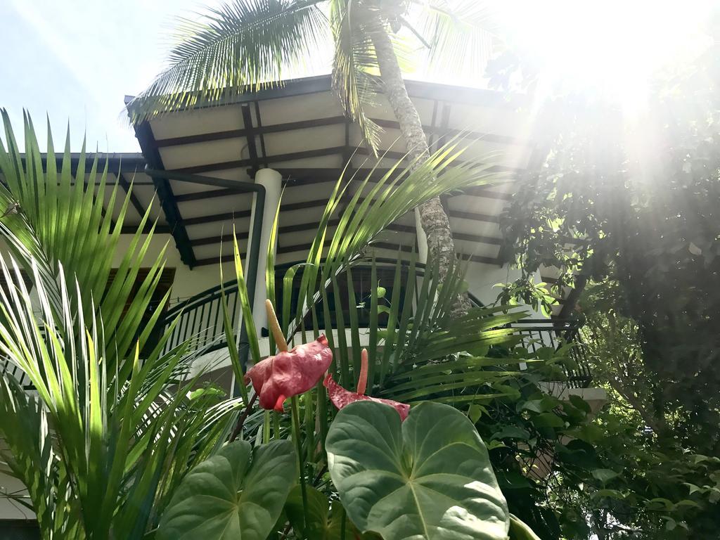 Mount Nature Villa Hikkaduwa Phòng bức ảnh